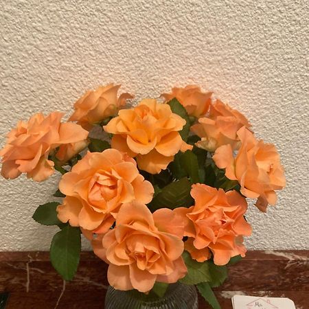 Ma Maison مارسيلان المظهر الخارجي الصورة
